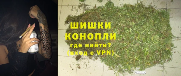 mdpv Ельня