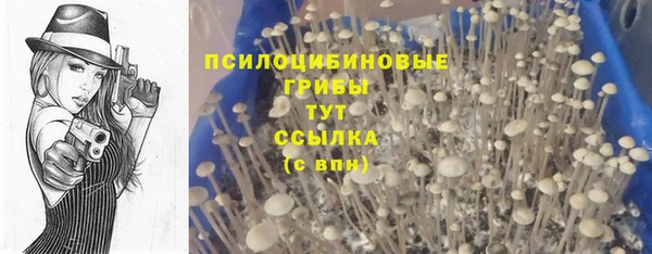 гидропоника Абаза